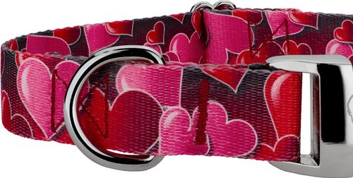 Show full view: Country Brook Petz Premium Romantic Hearts Polyester Standard Dog Collar, Red, Medium: 13 to 16-in neck, 1-in wide slide 5 of 5