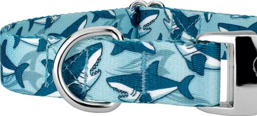 Show full view: Country Brook Petz Premium Sharks Dog Collar, Blue, Large: 16 to 22-in neck, 1-in wide slide 6 of 6