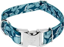 Country Brook Petz Premium Sharks Dog Collar, Blue, Medium: 13 to 16-in neck, 1-in wide
