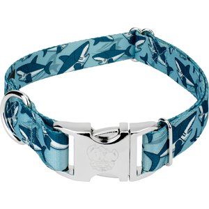 Country Brook Petz Premium Sharks Dog Collar, Blue, Medium: 13 to 16-in neck, 1-in wide