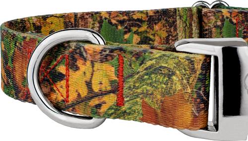 Show full view: Country Brook Petz Premium Southern Forest Camo Dog Collar, Brown, Small: 11 to 13-in neck, 5/8-in wide slide 5 of 5