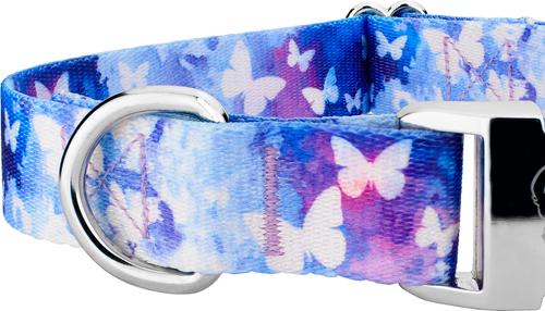 Show full view: Country Brook Petz Premium Watercolor Butterflies Dog Collar, Blue, Large: 16 to 22-in neck, 1-in wide slide 5 of 5