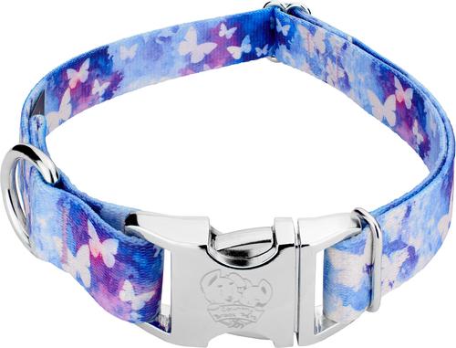 Show full view: Country Brook Petz Premium Watercolor Butterflies Dog Collar, Blue, Small: 11 to 13-in neck, 5/8-in wide slide 1 of 5