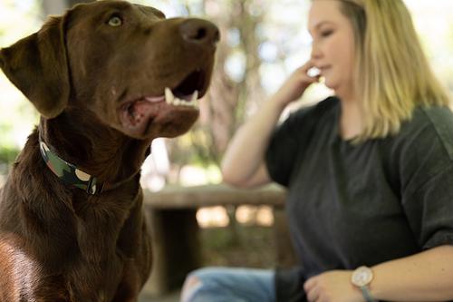 Show full view: Country Brook Petz Premium Woodland Camo HD Dog Collar, Green, X-Large: 18 to 26-in neck, 1-in wide slide 3 of 7