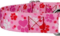 Country Brook Petz Puppy Love Polyester Martingale Dog Collar, Pink, Medium: 15 to 21-in neck, 1-in wide slide 2 of 7