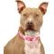Show in main carousel: Country Brook Petz Puppy Love Polyester Martingale Dog Collar, Pink, Medium: 15 to 21-in neck, 1-in wide slide 3 of 7