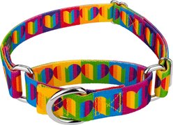 Country Brook Petz Rainbow Hearts Polyester Martingale Dog Collar, Medium: 15 to 21-in neck, 1-in wide