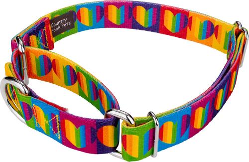 Show full view: Country Brook Petz Rainbow Hearts Polyester Martingale Dog Collar, Medium: 15 to 21-in neck, 1-in wide slide 4 of 6