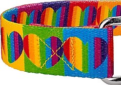 Country Brook Petz Rainbow Hearts Polyester Martingale Dog Collar, Small: 11 to 15-in neck, 5/8-in wide slide 2 of 6