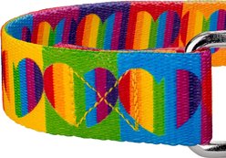 Country Brook Petz Rainbow Hearts Polyester Martingale Dog Collar, X-Large: 23 to 31-in neck, 1-in wide slide 2 of 6