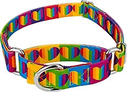 Country Brook Petz Rainbow Hearts Polyester Martingale Dog Collar, X-Small: 9 to 12-in neck, 1/2-in wide