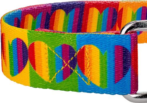 Show full view: Country Brook Petz Rainbow Hearts Polyester Martingale Dog Collar, X-Small: 9 to 12-in neck, 1/2-in wide slide 6 of 6