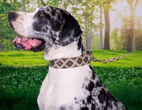 Show full view: Country Brook Petz Rattlesnake Polyester Martingale Dog Collar, Brown, Large: 18 to 26-in neck, 1-in wide slide 4 of 8