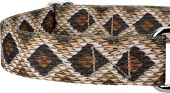 Country Brook Petz Rattlesnake Polyester Martingale Dog Collar, Brown, X-Small: 9 to 12-in neck, 1/2-in wide slide 2 of 7