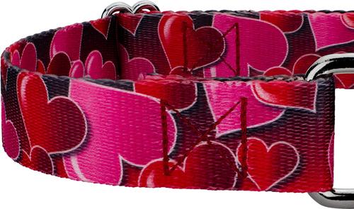 Show full view: Country Brook Petz Romantic Hearts Polyester Martingale Dog Collar, Red, Medium: 15 to 21-in neck, 1-in wide slide 5 of 5