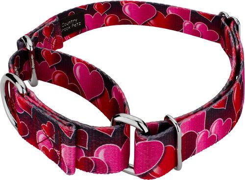 Show full view: Country Brook Petz Romantic Hearts Polyester Martingale Dog Collar, Red, Small: 11 to 15-in neck, 5/8-in wide slide 4 of 6