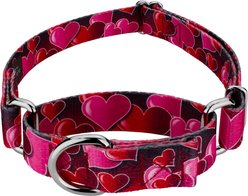 Country Brook Petz Romantic Hearts Polyester Martingale Dog Collar, Red, X-Small: 9 to 12-in neck, 1/2-in wide