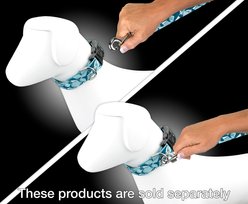 Country Brook Petz Sharks Dog Leash, Blue, Medium: 6-ft long, 5/8-in wide slide 2 of 4