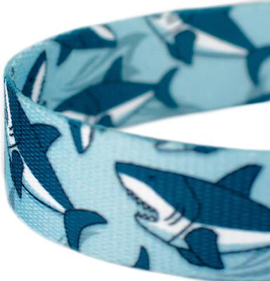 Show full view: Country Brook Petz Sharks Dog Leash, Blue, Medium: 6-ft long, 5/8-in wide slide 3 of 4