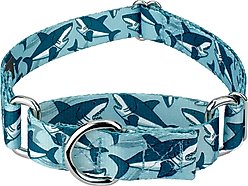 Country Brook Petz Sharks Martingale Dog Collar, Blue, Medium: 15 to 21-in neck, 1-in wide