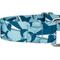 Show in main carousel: Country Brook Petz Sharks Martingale Dog Collar, Blue, Medium: 15 to 21-in neck, 1-in wide slide 6 of 7