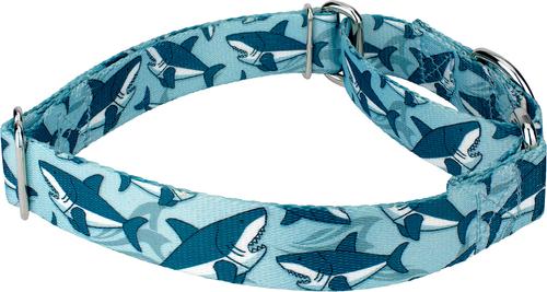 Show full view: Country Brook Petz Sharks Martingale Dog Collar, Blue, Medium: 15 to 21-in neck, 1-in wide slide 5 of 7