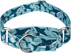 Country Brook Petz Sharks Martingale Dog Collar, Blue, Small: 11 to 15-in neck, 5/8-in wide