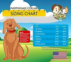 Country Brook Petz Sharks Martingale Dog Collar, Blue, Small: 11 to 15-in neck, 5/8-in wide slide 2 of 5