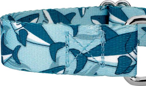 Show full view: Country Brook Petz Sharks Martingale Dog Collar, Blue, Small: 11 to 15-in neck, 5/8-in wide slide 5 of 6