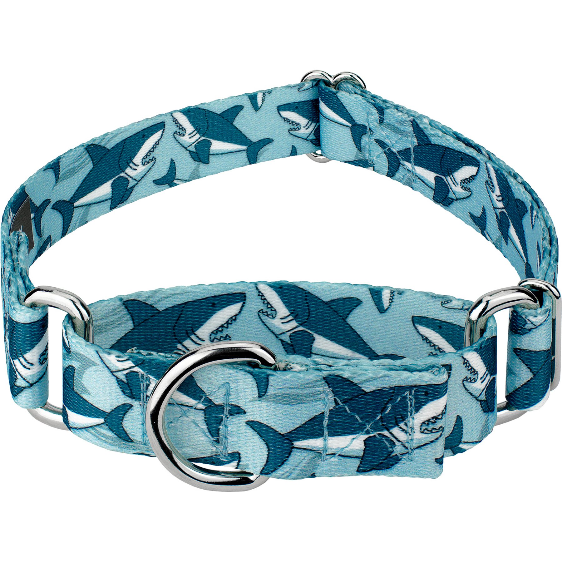 Country Brook Petz Sharks Martingale Dog Collar, Blue, X-Small: 9 to 12-in neck, 1/2-in wide