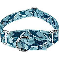 Country Brook Petz Sharks Martingale Dog Collar, Blue, XX-Small: 7 to 10-in, 1/2-in wide