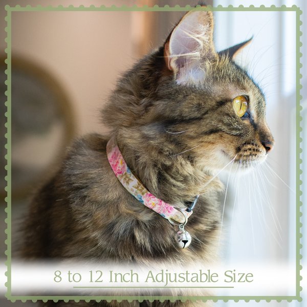 Country Brook Petz Star Spangled Cat Collar, 8 to 12-in neck, 1/2-in wide