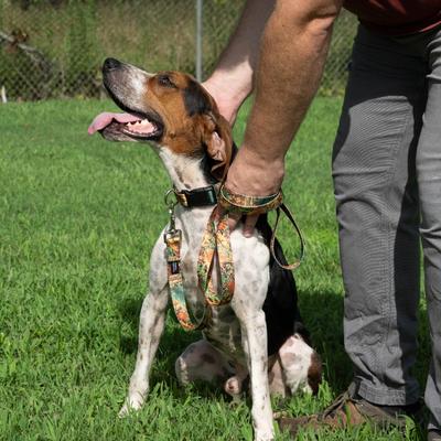 Show full view: Country Brook Petz Southern Forest Camo Dog Leash, Brown, Medium: 6-ft long, 5/8-in wide slide 4 of 6