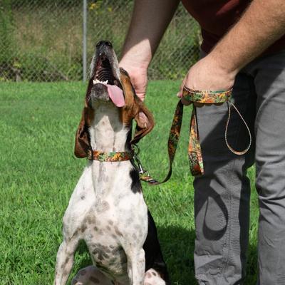 Show full view: Country Brook Petz Southern Forest Camo Dog Leash, Brown, Medium: 6-ft long, 5/8-in wide slide 3 of 6