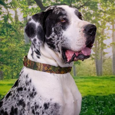 Show full view: Country Brook Petz Southern Forest Camo Martingale Dog Collar, Brown, Small slide 3 of 7
