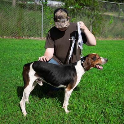 Show full view: Country Brook Petz Urban Camo Deluxe Dog Collar, Grey, XX-Small slide 4 of 8