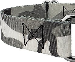 Country Brook Petz Urban Camo Martingale Dog Collar, Grey, Medium slide 2 of 7
