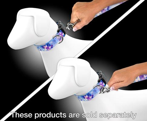 Show full view: Country Brook Petz Watercolor Butterflies Dog Leash, Blue, Large: 6-ft long, 1-in wide slide 4 of 4