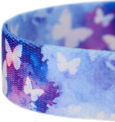 Show full view: Country Brook Petz Watercolor Butterflies Dog Leash, Blue, Medium: 4-ft long, 5/8-in wide slide 4 of 5