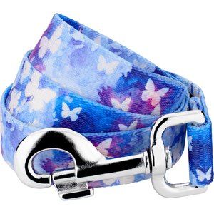 Country Brook Petz Watercolor Butterflies Dog Leash, Blue, Medium: 6-ft long, 5/8-in wide