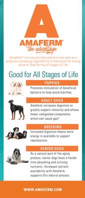 Show full view: Country Vet Naturals 24-10 Senior Dog Food, 16-lb bag slide 6 of 8