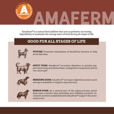 Show full view: Country Vet Naturals 24-10 Senior Dog Food, 1-lb bag slide 5 of 9