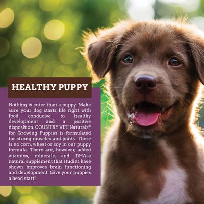 Show full view: Country Vet Naturals 28/18 Healthy Puppy Dog Food, 35-lb bag slide 6 of 9