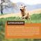 Show in main carousel: Country Vet Naturals 30/20 Active Athlete Dog Food, 1-lb bag slide 6 of 9