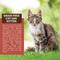 Show in main carousel: Country Vet Naturals 34-15 Grain-Free Cat Food, 18-lb bag slide 6 of 9