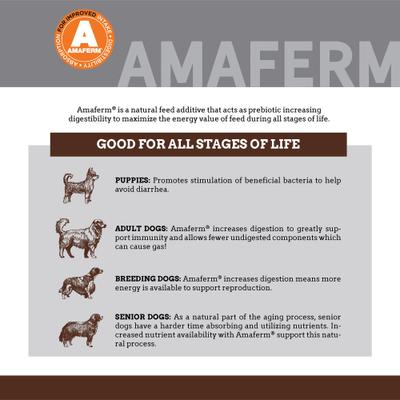 Country Vet Naturals Butcher Shop Blend Beef & Bacon Flavor Dry Dog Food