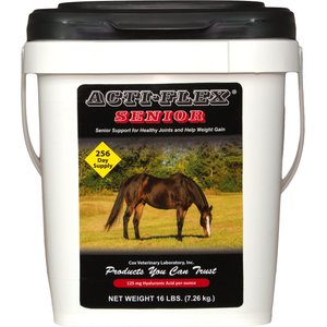 Gatsby Cool-Mesh Fly Horse Sheet