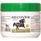 Show in main carousel: Cox Vet Lab Recover AXT Powder Horse Supplement, 1-lb jar slide 1 of 2