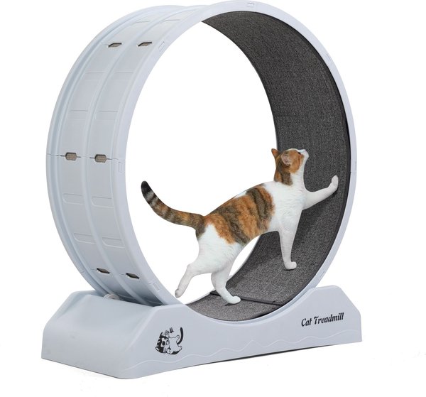 COZIWOW 29-in Exercise Running Wheel Cat Treadmill, White