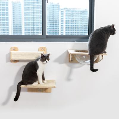 Show full view: Coziwow 3 Piece Window Perch Suction Cup Hammock Cat Perch slide 8 of 12
